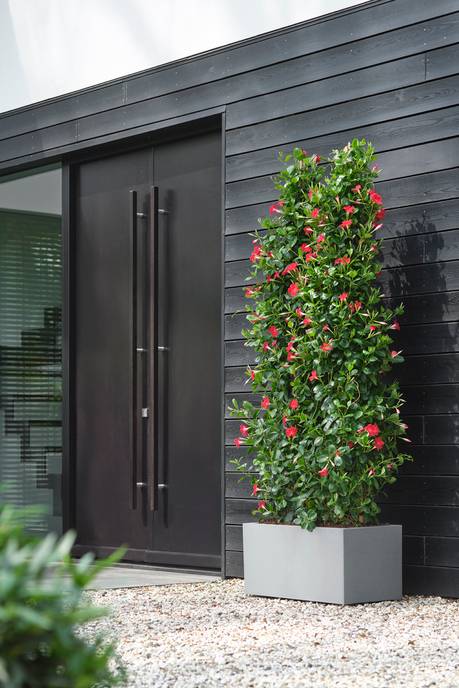 vivo next lang 60cm living beton